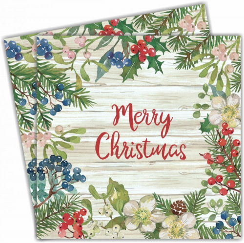 Servetele/ Farfurii/ Pahare/ Paie Craciun